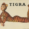 tigra-cigarette